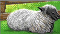 A pixel-art image of a sheep