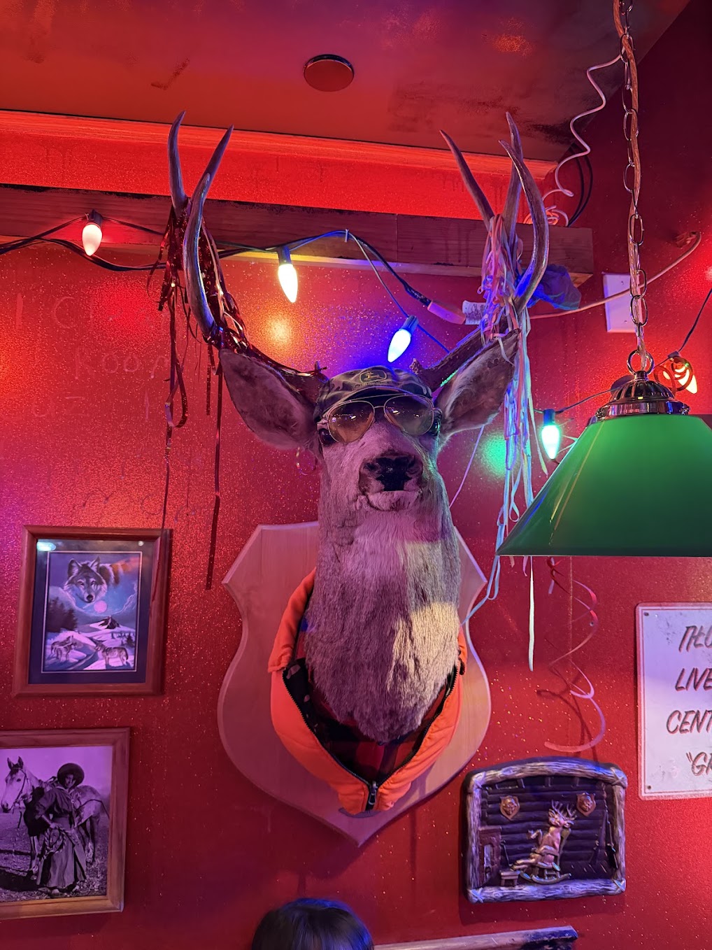 Mounted deer head wearing sunglasses and an orange vest at Meow Wolf Houston